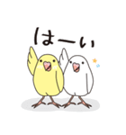 きいろとしろ（個別スタンプ：21）