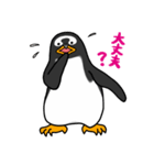 ペンギンスタンプ(ジェンツーペンギン3)（個別スタンプ：16）