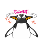 ペンギンスタンプ(ジェンツーペンギン3)（個別スタンプ：37）