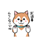 既読についてのエトセトラ 柴犬編（個別スタンプ：13）