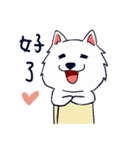 Japanese Spitz-Michael-practical（個別スタンプ：11）