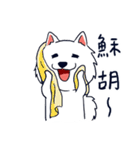 Japanese Spitz-Michael-practical（個別スタンプ：12）