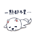 Japanese Spitz-Michael-practical（個別スタンプ：33）