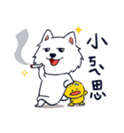 Japanese Spitz-Michael-practical（個別スタンプ：34）