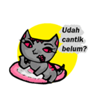 Hooman Cat (Indonesian)（個別スタンプ：1）