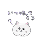 ねこいぬねこいぬくま（個別スタンプ：11）