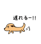 小犬のクゥちゃん（個別スタンプ：27）
