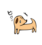 小犬のクゥちゃん（個別スタンプ：35）