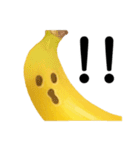 毎日バナナ（個別スタンプ：8）