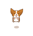 Corgi Dog Kaka - animated sticker vol. 1（個別スタンプ：1）