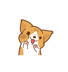 Corgi Dog Kaka - animated sticker vol. 1（個別スタンプ：2）