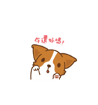 Corgi Dog Kaka - animated sticker vol. 1（個別スタンプ：3）