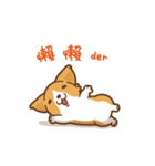 Corgi Dog Kaka - animated sticker vol. 1（個別スタンプ：4）