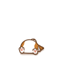 Corgi Dog Kaka - animated sticker vol. 1（個別スタンプ：5）