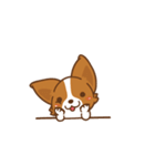 Corgi Dog Kaka - animated sticker vol. 1（個別スタンプ：6）