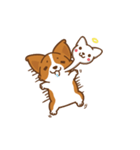 Corgi Dog Kaka - animated sticker vol. 1（個別スタンプ：7）