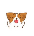 Corgi Dog Kaka - animated sticker vol. 1（個別スタンプ：9）