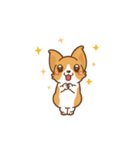 Corgi Dog Kaka - animated sticker vol. 1（個別スタンプ：10）