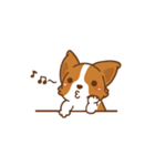 Corgi Dog Kaka - animated sticker vol. 1（個別スタンプ：11）