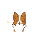 Corgi Dog Kaka - animated sticker vol. 1（個別スタンプ：15）