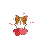 Corgi Dog Kaka - animated sticker vol. 1（個別スタンプ：16）