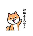 大阪弁の柴犬さん（個別スタンプ：1）