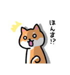 大阪弁の柴犬さん（個別スタンプ：12）