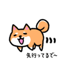 大阪弁の柴犬さん（個別スタンプ：18）