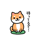 大阪弁の柴犬さん（個別スタンプ：33）