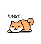 大阪弁の柴犬さん（個別スタンプ：40）