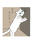 3ねこスタンプ（個別スタンプ：9）