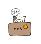 ずきんねこちゃん（個別スタンプ：38）