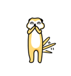 The prince of meerkat MEEKA（個別スタンプ：17）