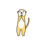 The prince of meerkat MEEKA（個別スタンプ：19）