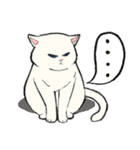 白猫のモチ（個別スタンプ：3）