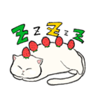 白猫のモチ（個別スタンプ：5）
