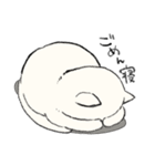 白猫のモチ（個別スタンプ：7）