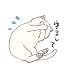 白猫のモチ（個別スタンプ：8）