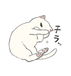 白猫のモチ（個別スタンプ：9）