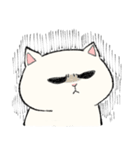 白猫のモチ（個別スタンプ：13）
