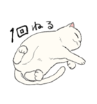 白猫のモチ（個別スタンプ：15）