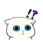 白猫のモチ（個別スタンプ：17）
