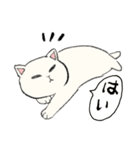白猫のモチ（個別スタンプ：20）