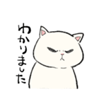 白猫のモチ（個別スタンプ：28）