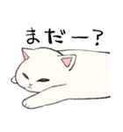 白猫のモチ（個別スタンプ：29）