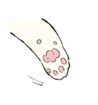 白猫のモチ（個別スタンプ：31）