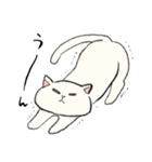 白猫のモチ（個別スタンプ：33）