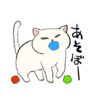 白猫のモチ（個別スタンプ：36）