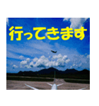 沖縄便り（個別スタンプ：3）