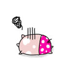 LIFE OF CHUNKUEI PIG (English) 1（個別スタンプ：30）